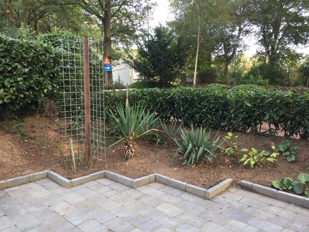 Rumah Kita, Bungalow Met 2 Slaapkamers In Het Mooie Drenthe Erm 외부 사진